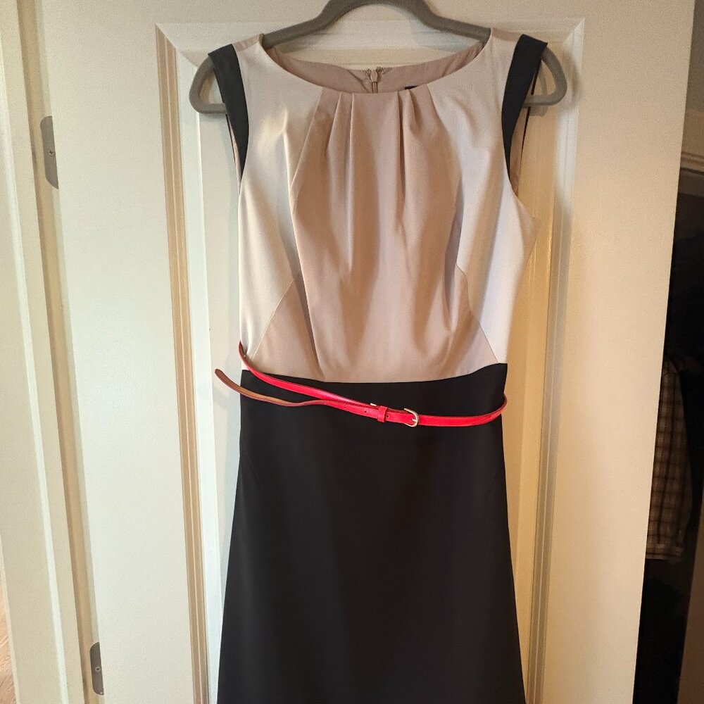 Ann Taylor Knee-Length Colorblock Sleeveless Sheath Dress